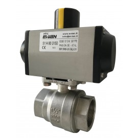 Evian 5114 Ball Valve